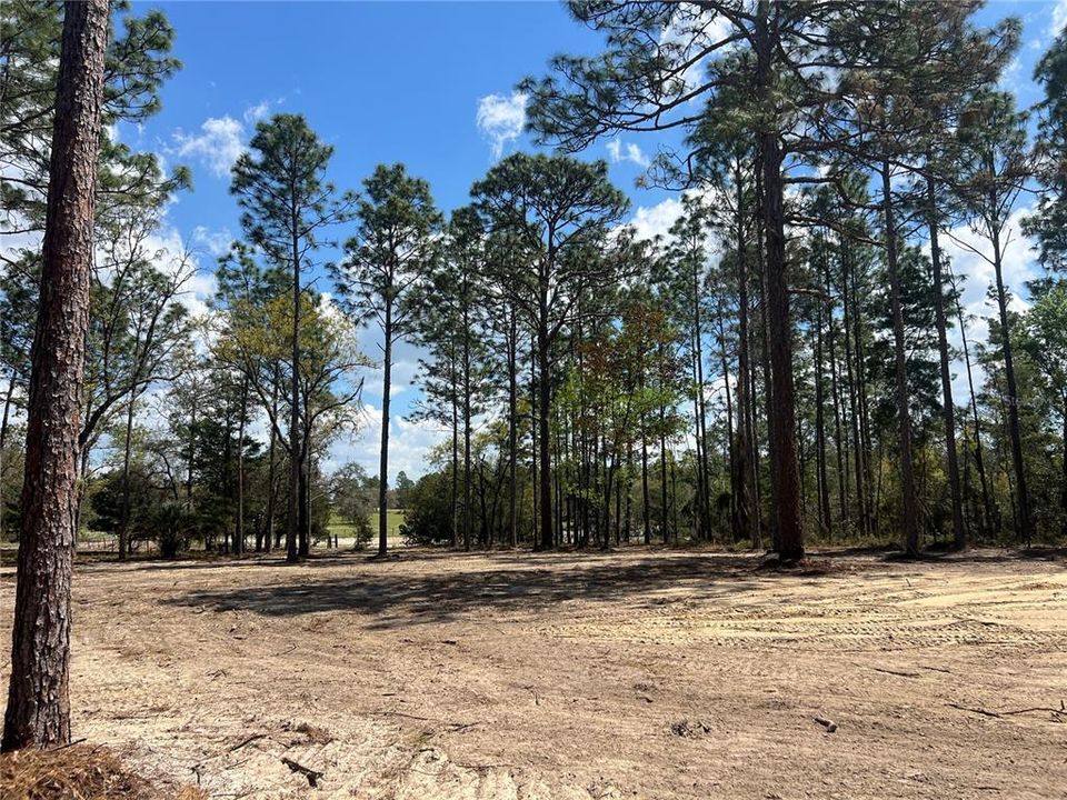 待售: $39,500 (1.00 acres)