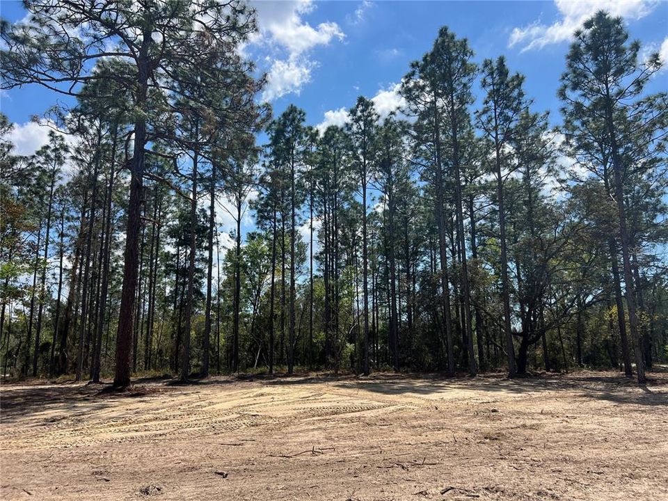 待售: $39,500 (1.00 acres)