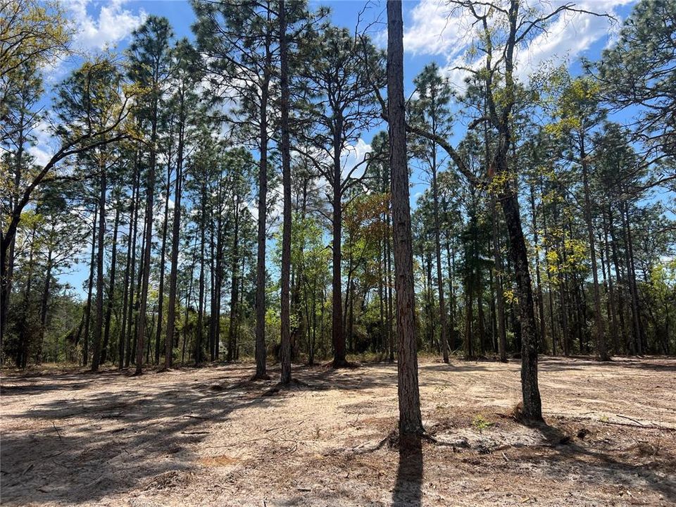 待售: $39,500 (1.00 acres)