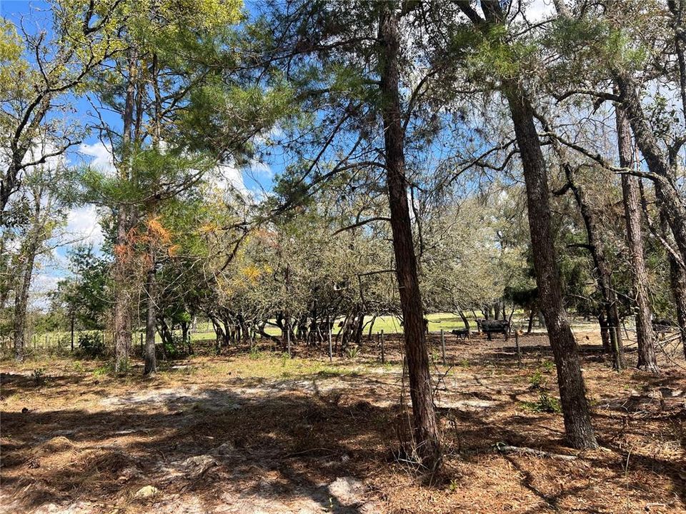 待售: $39,500 (1.00 acres)