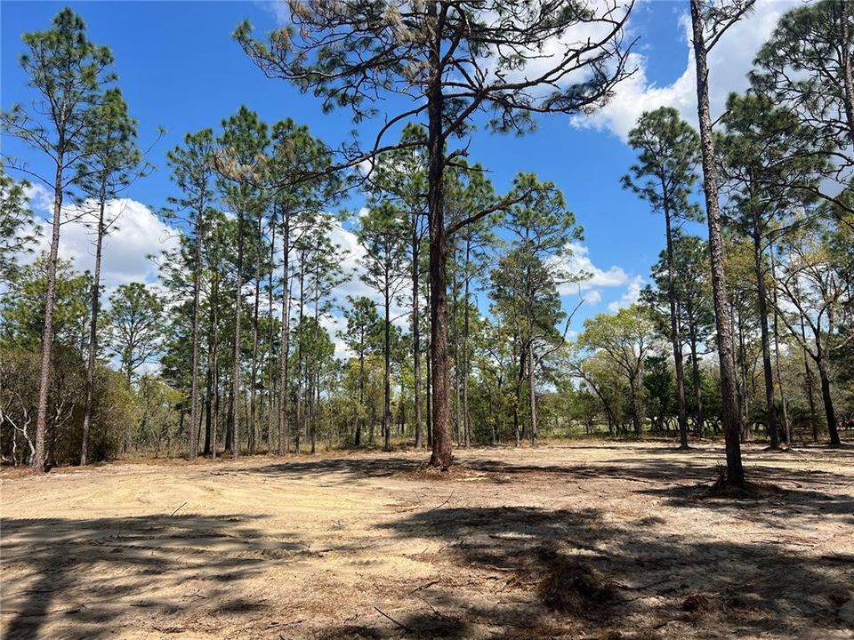 待售: $39,500 (1.00 acres)