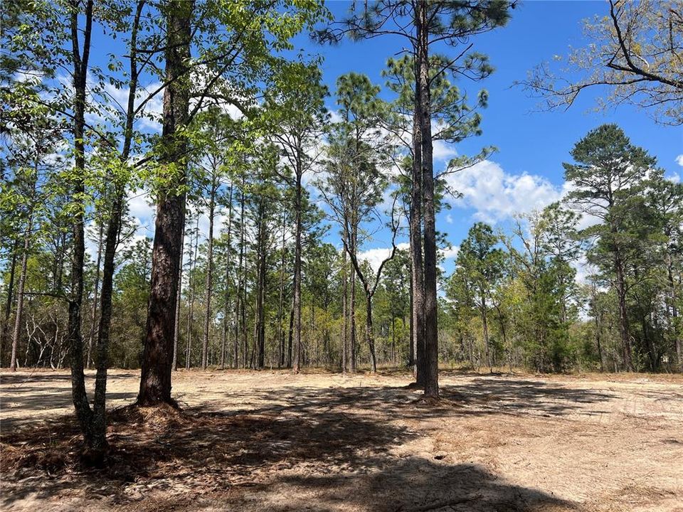 待售: $39,500 (1.00 acres)