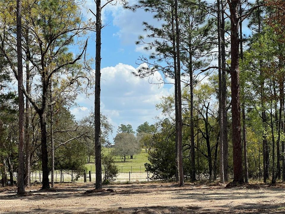 待售: $39,500 (1.00 acres)