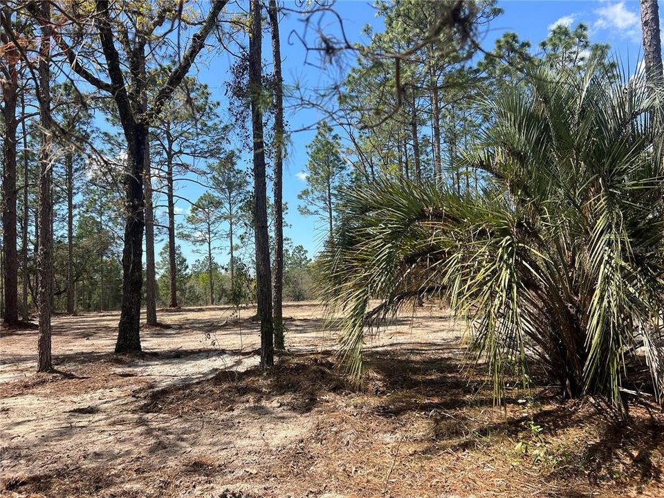 待售: $39,500 (1.00 acres)