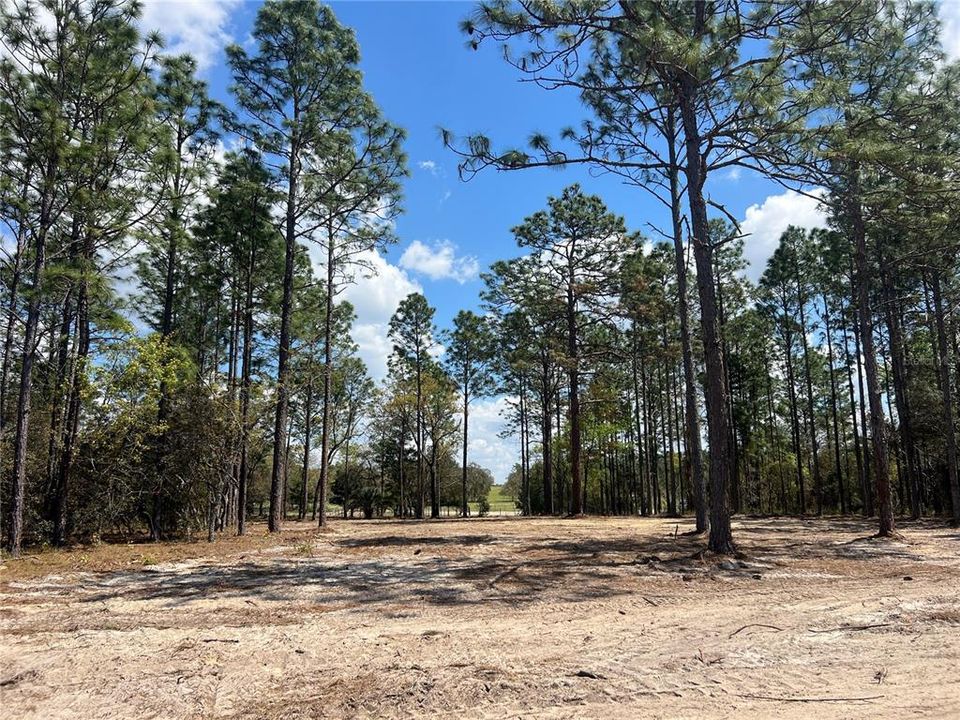 待售: $39,500 (1.00 acres)