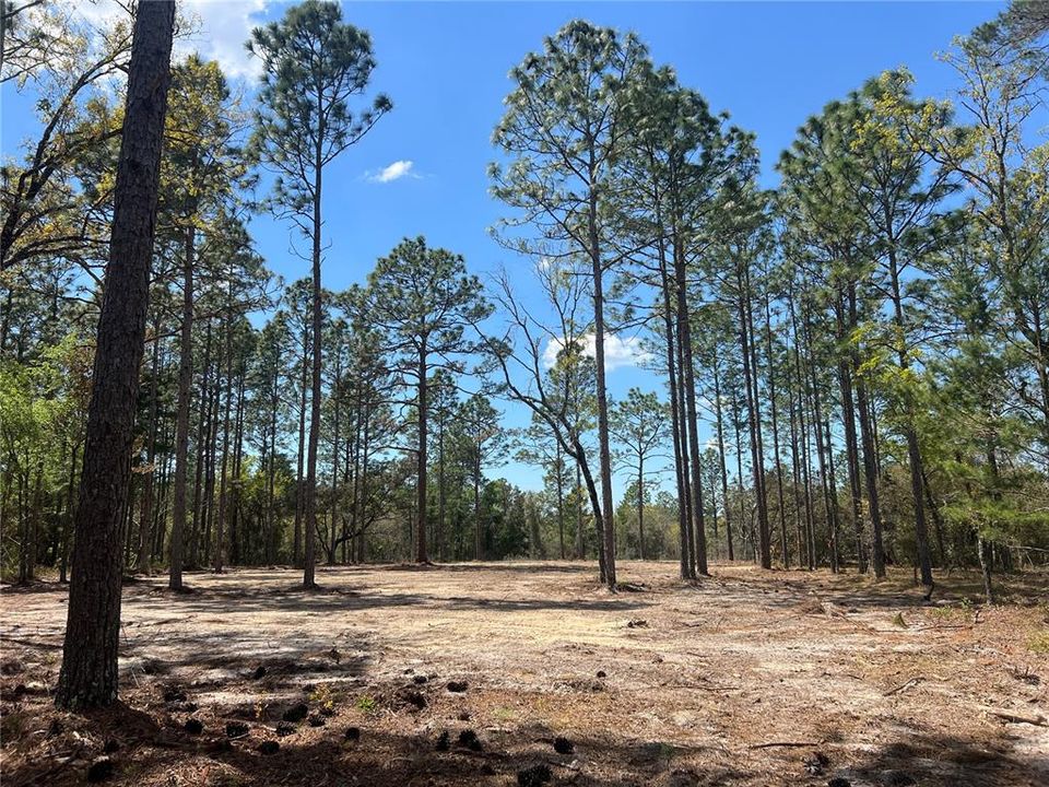 待售: $39,500 (1.00 acres)