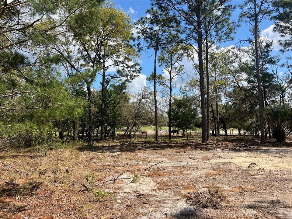 待售: $39,500 (1.00 acres)