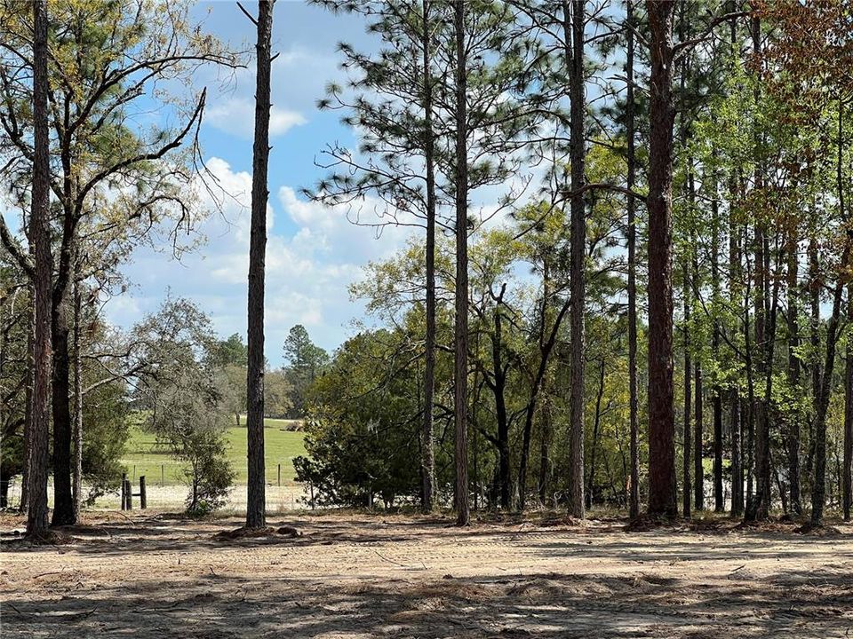 待售: $39,500 (1.00 acres)