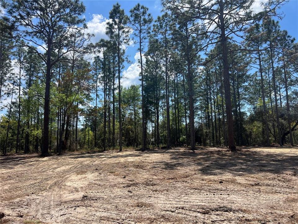 待售: $39,500 (1.00 acres)