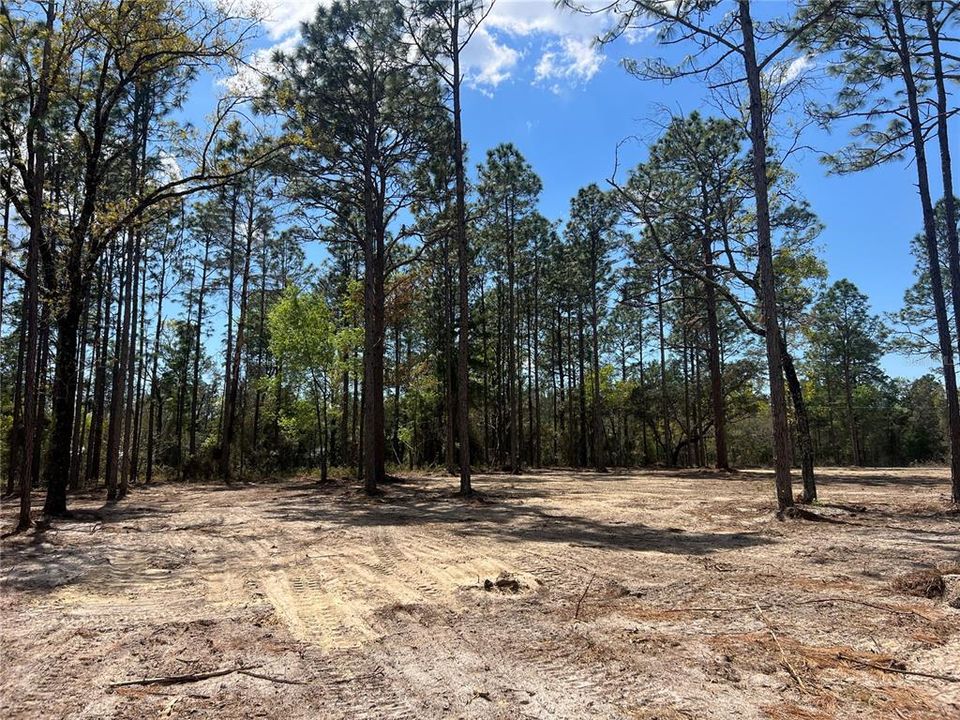 待售: $39,500 (1.00 acres)