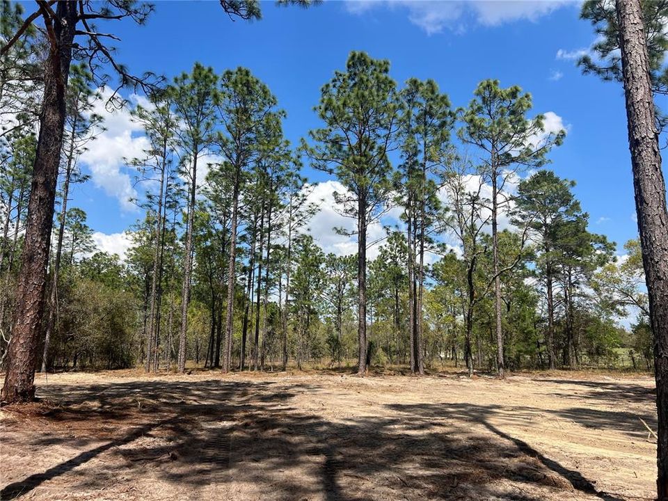 待售: $39,500 (1.00 acres)