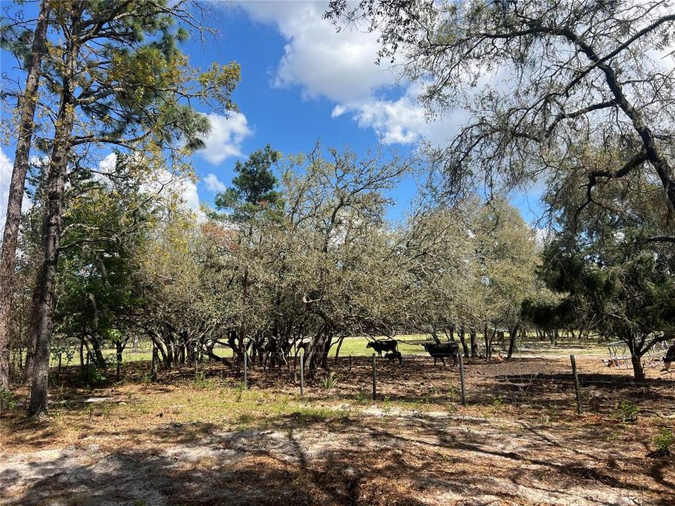 待售: $39,500 (1.00 acres)