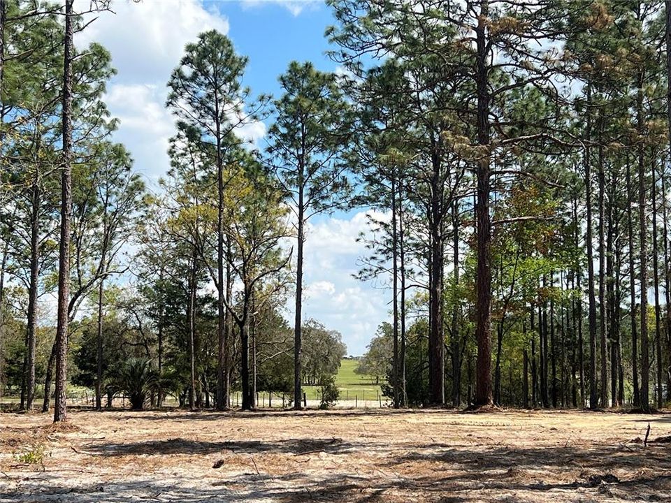 待售: $39,500 (1.00 acres)