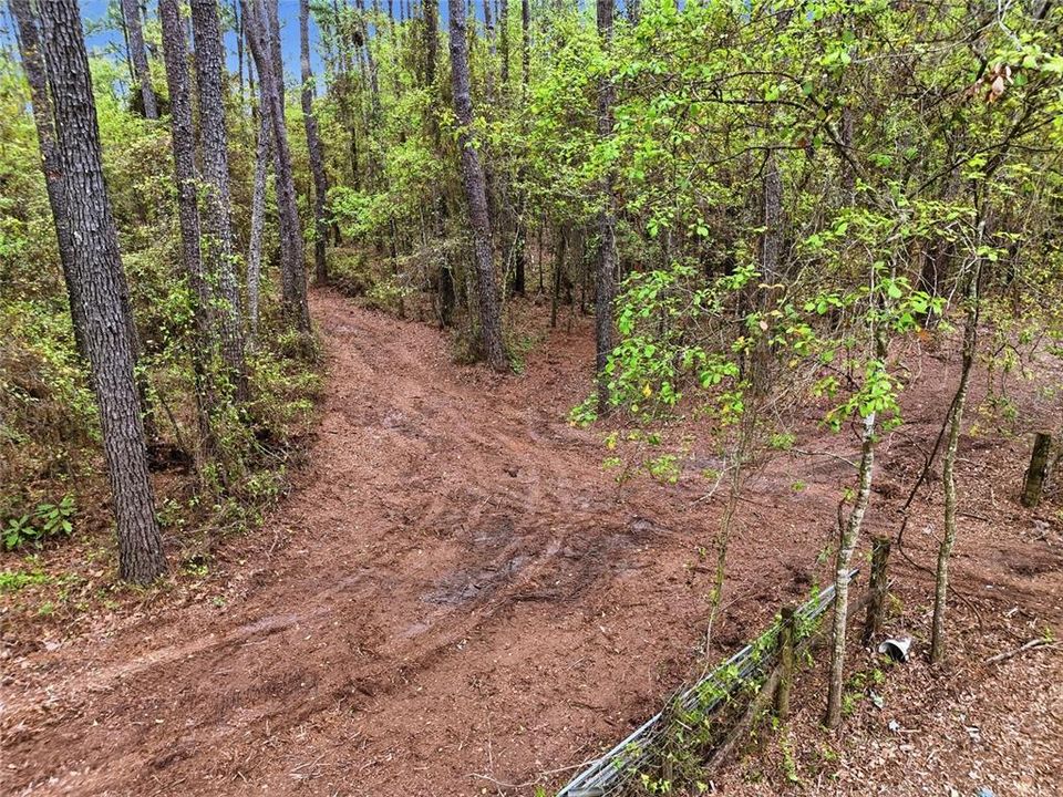 待售: $145,000 (4.30 acres)