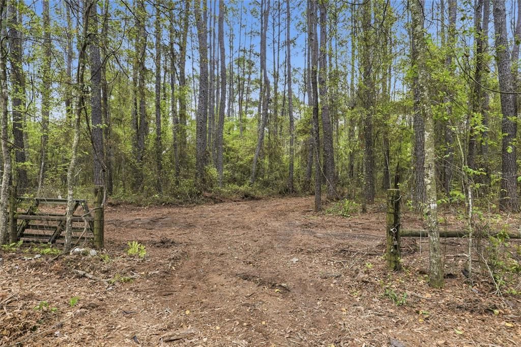 待售: $145,000 (4.30 acres)