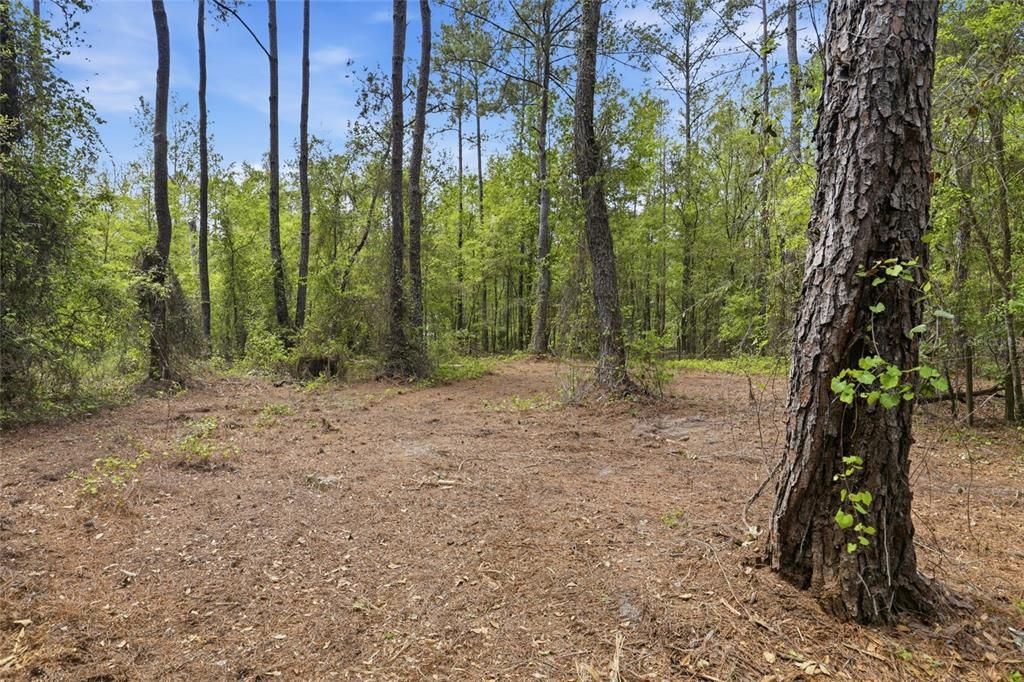 待售: $145,000 (4.30 acres)