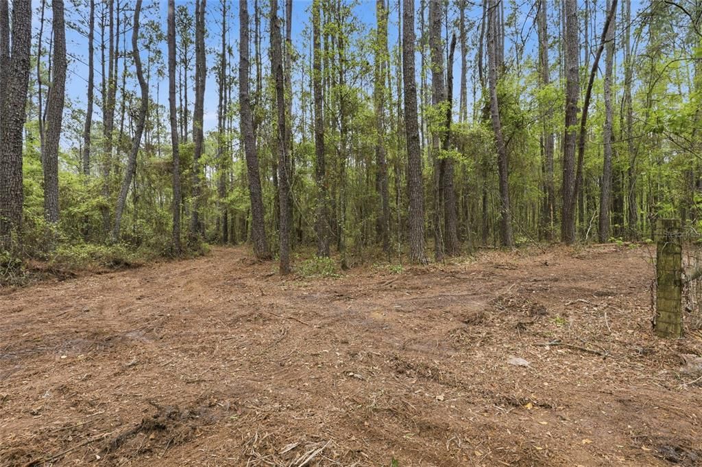 待售: $145,000 (4.30 acres)