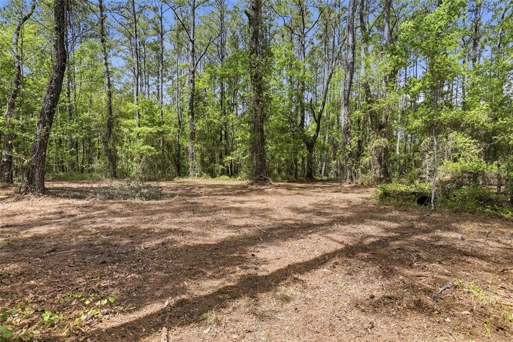 待售: $145,000 (4.30 acres)