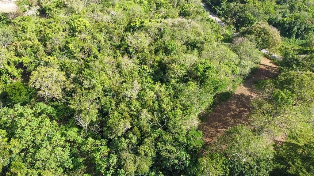 待售: $290,000 (2.86 acres)