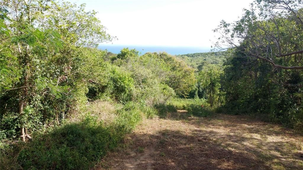 待售: $290,000 (2.86 acres)