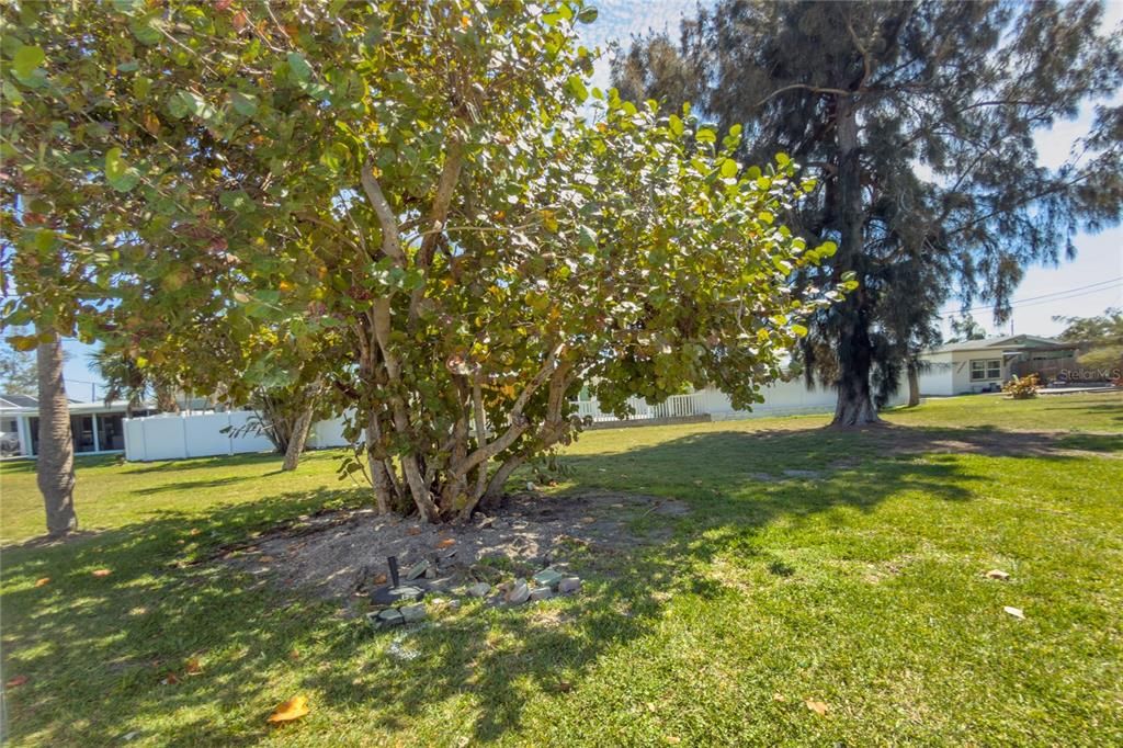 Active With Contract: $575,000 (2 beds, 2 baths, 890 Square Feet)