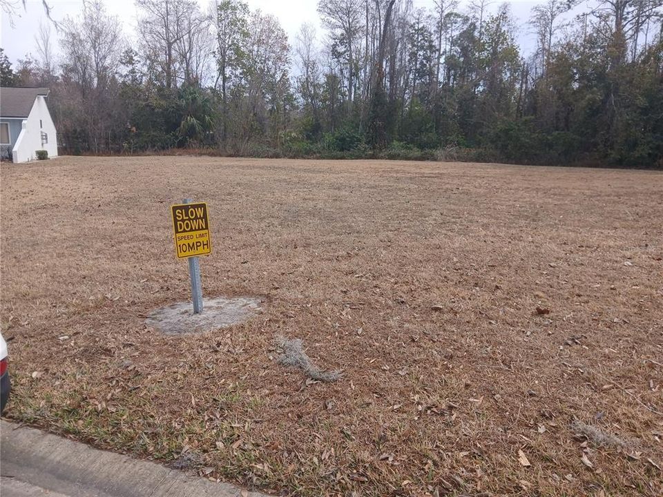 For Sale: $19,900 (0.05 acres)