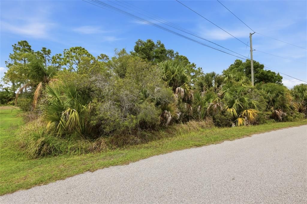 En Venta: $19,500 (0.25 acres)