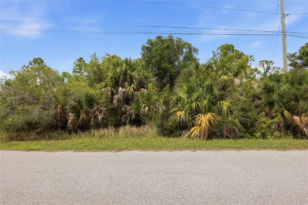 En Venta: $19,500 (0.25 acres)