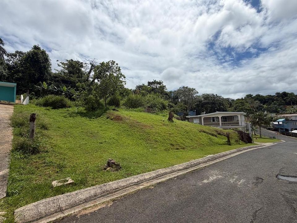 For Sale: $50,000 (1,300.00 acres)