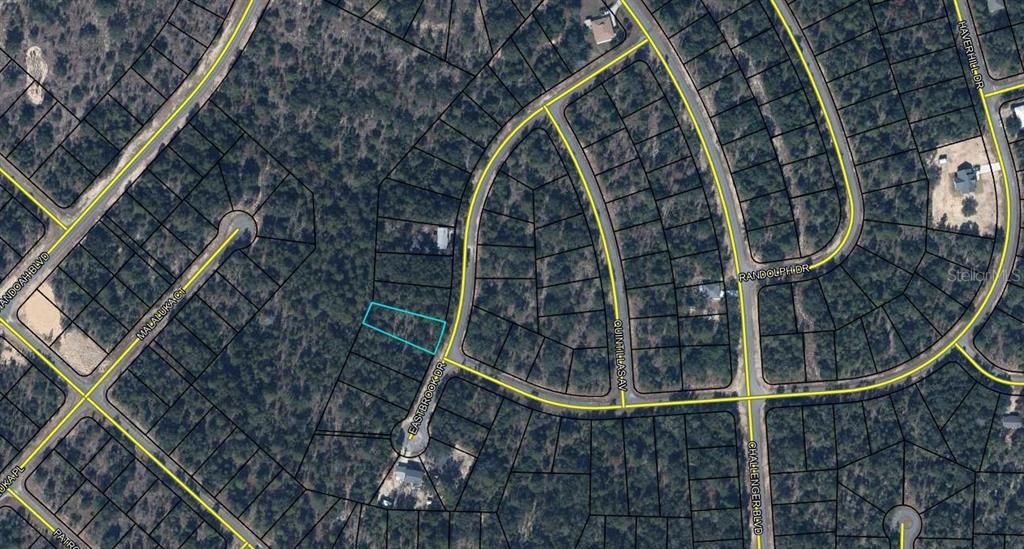 For Sale: $9,900 (0.33 acres)