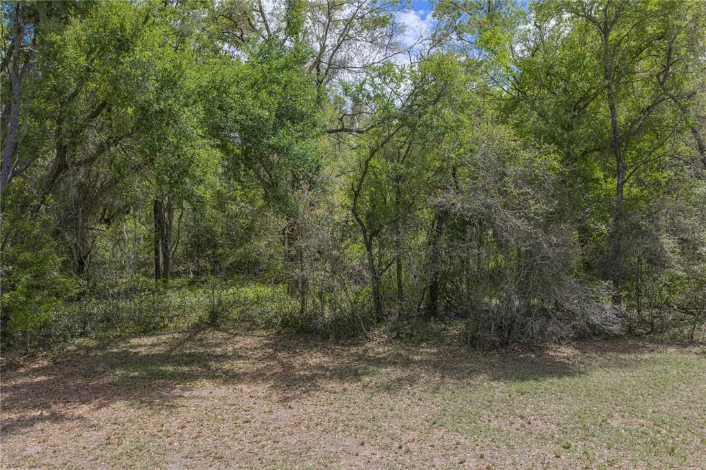 На продажу: $250,000 (2.87 acres)