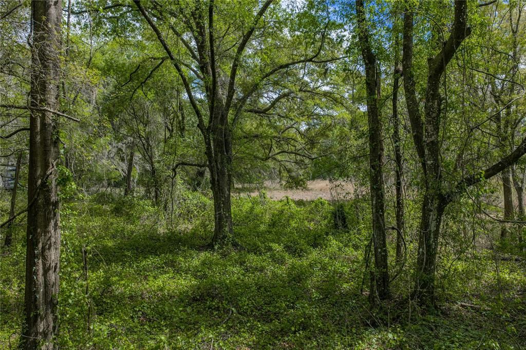 На продажу: $250,000 (2.87 acres)