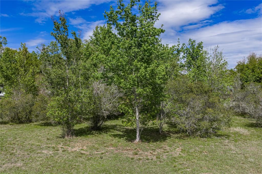 На продажу: $250,000 (2.87 acres)