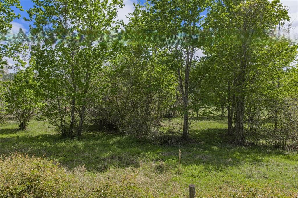 На продажу: $250,000 (2.87 acres)