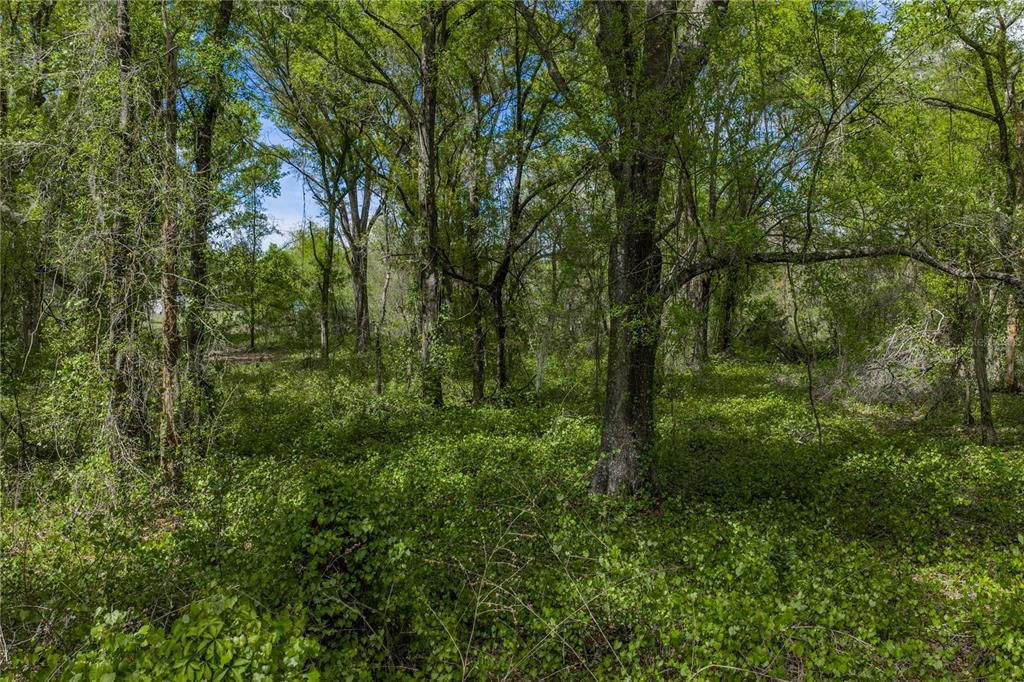 На продажу: $250,000 (2.87 acres)