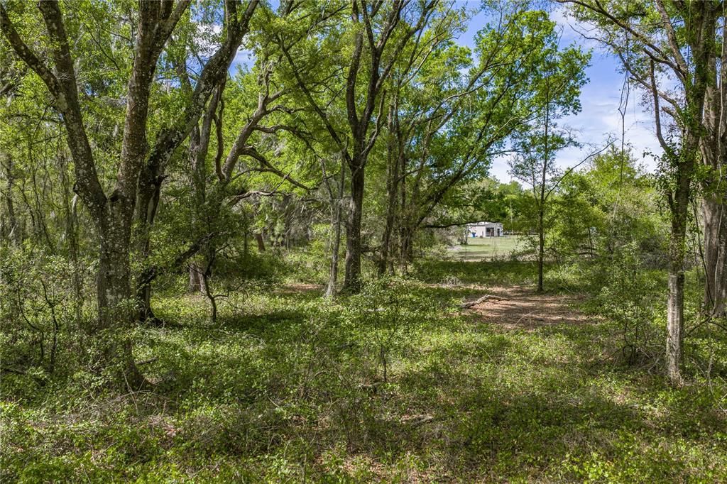 На продажу: $250,000 (2.87 acres)