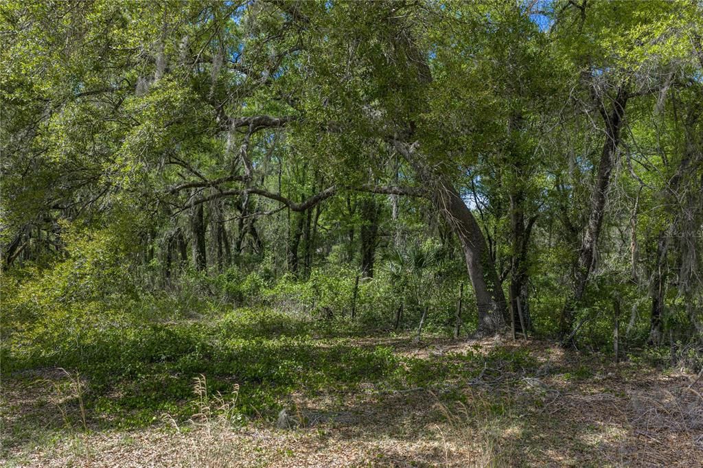 На продажу: $250,000 (2.87 acres)