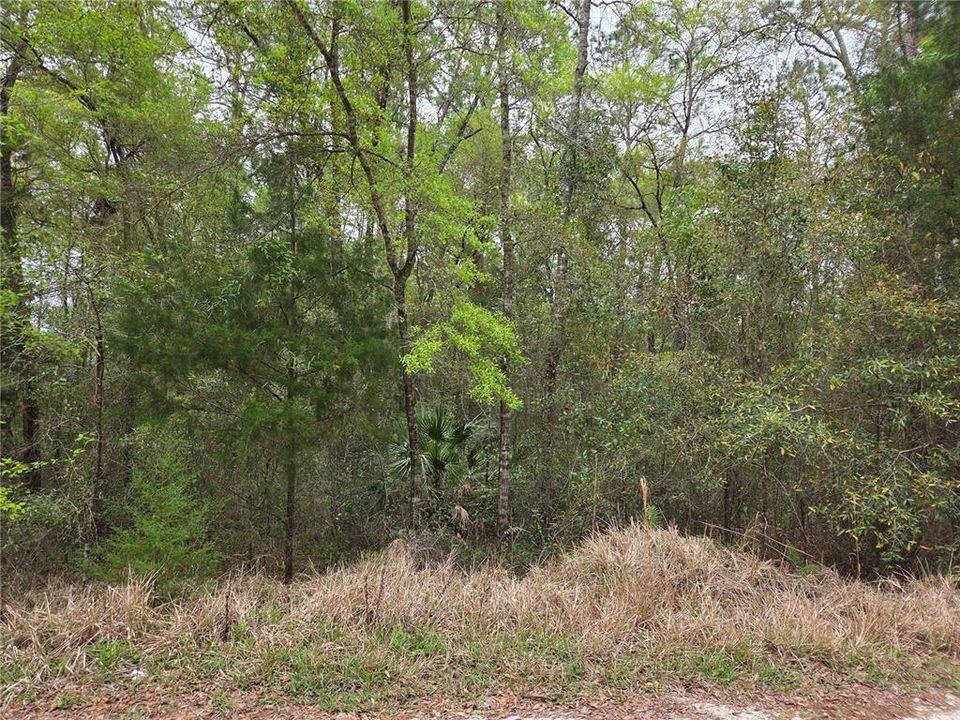 En Venta: $15,000 (0.55 acres)