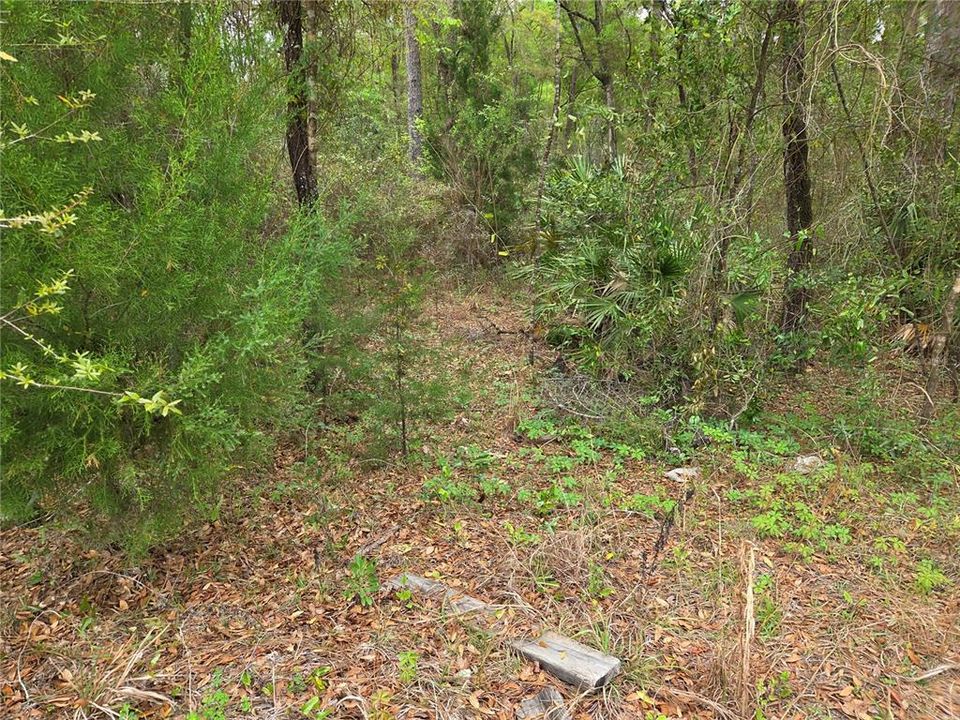 En Venta: $15,000 (0.55 acres)