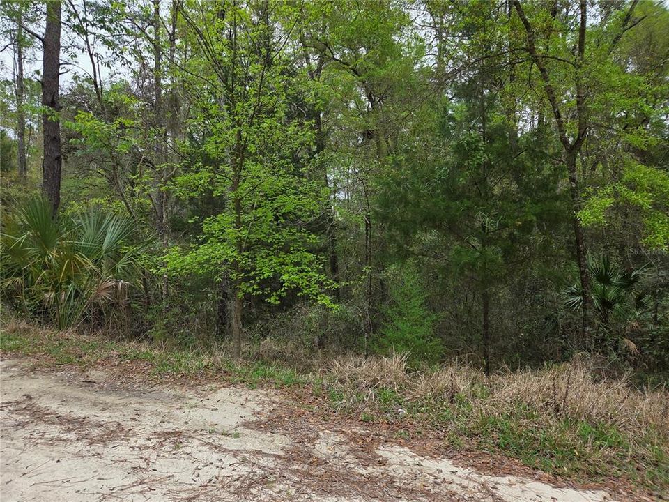 En Venta: $15,000 (0.55 acres)