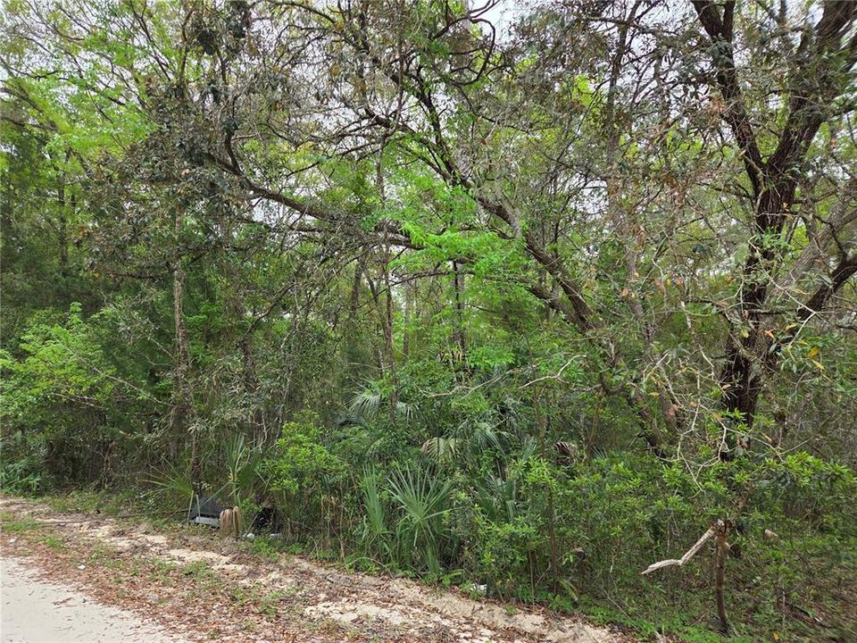 En Venta: $15,000 (0.55 acres)