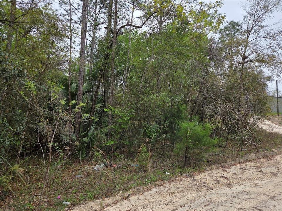 En Venta: $15,000 (0.55 acres)