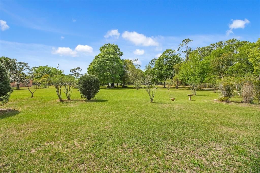Active With Contract: $444,990 (5 beds, 2 baths, 2031 Square Feet)