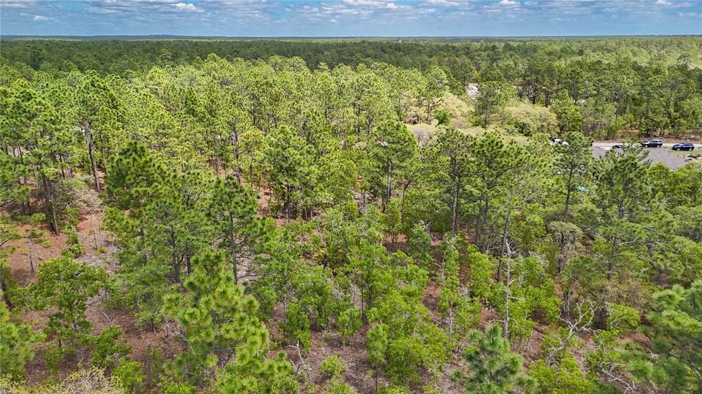 На продажу: $85,000 (1.16 acres)