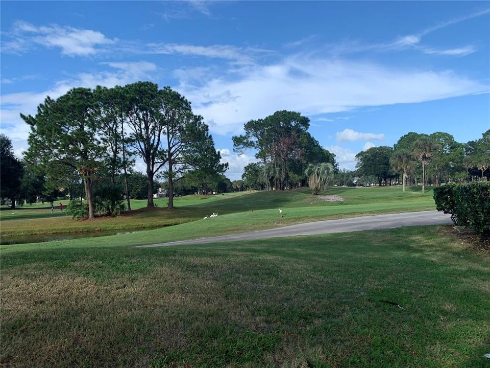 For Rent: $2,600 (3 beds, 2 baths, 1781 Square Feet)