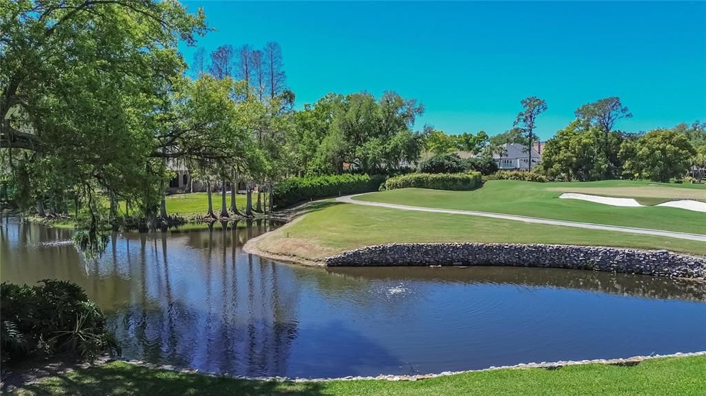 На продажу: $7,000,000 (8 спален, 8 ванн, 10222 Квадратных фут)