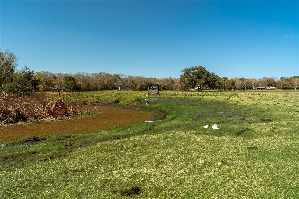 На продажу: $949,000 (52.21 acres)