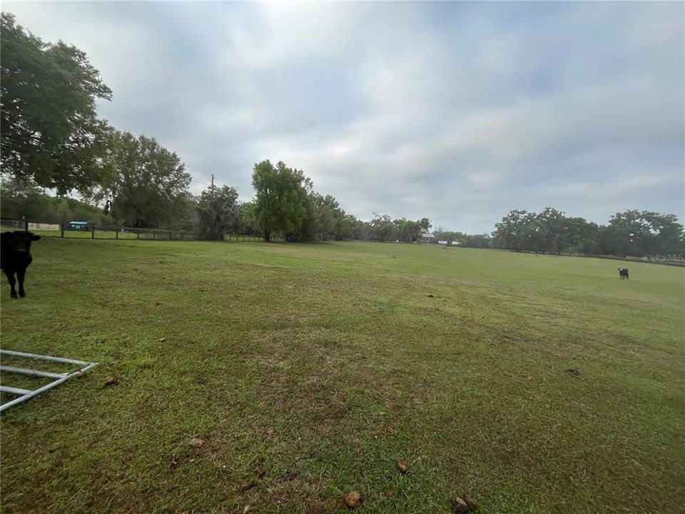 На продажу: $259,000 (3.00 acres)