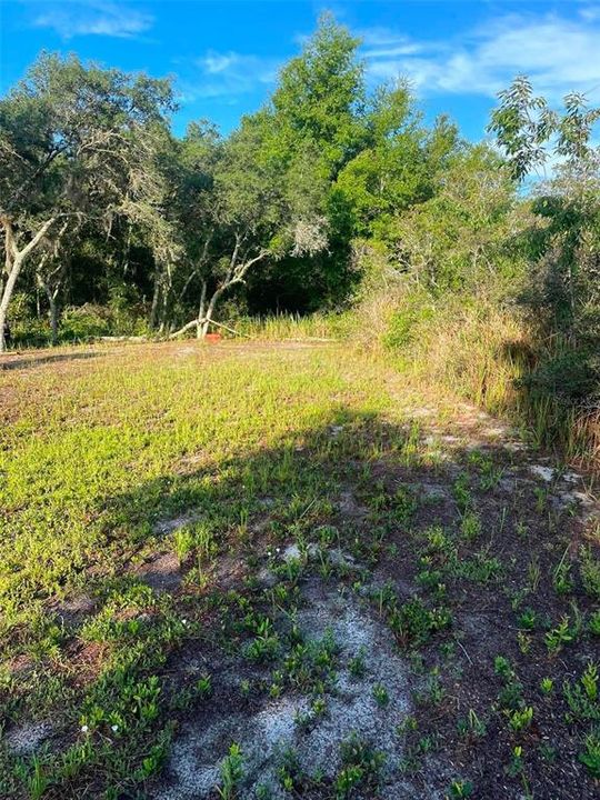 待售: $23,000 (0.18 acres)