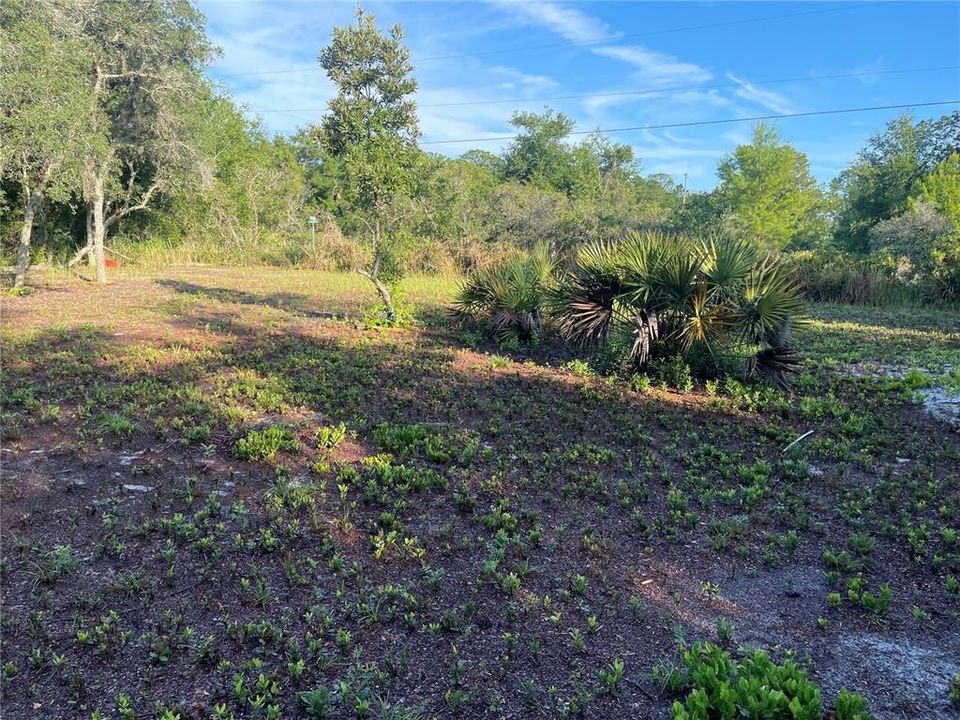 待售: $23,000 (0.18 acres)